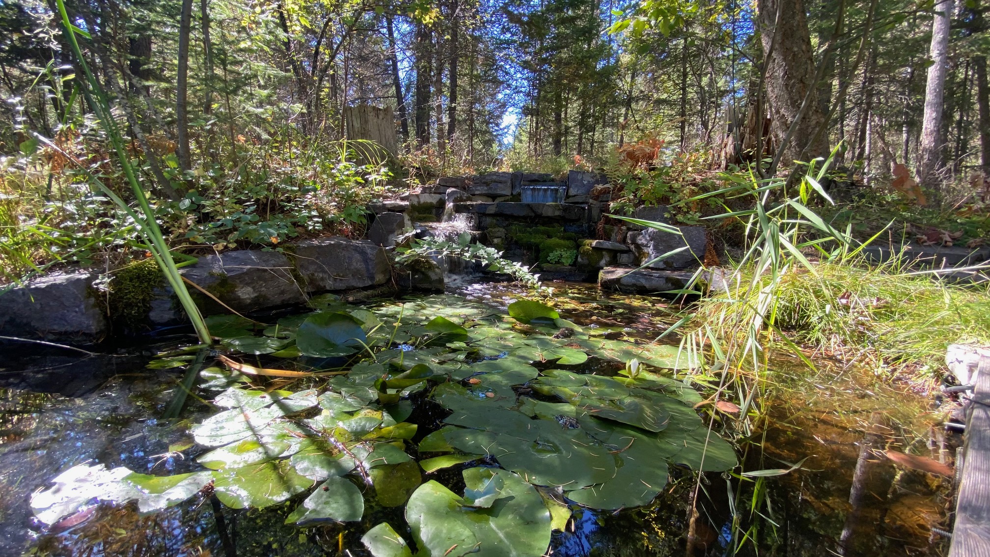 132 Little Mountain Road Property Photo 40