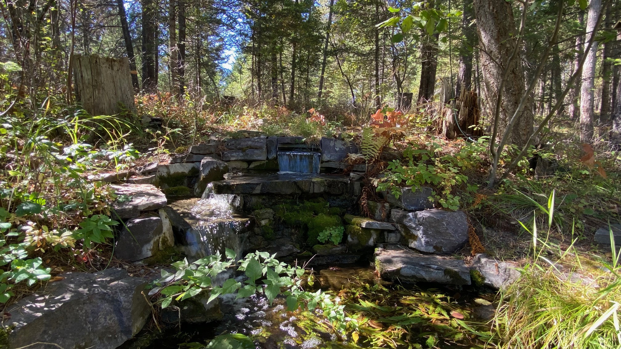 132 Little Mountain Road Property Photo 41