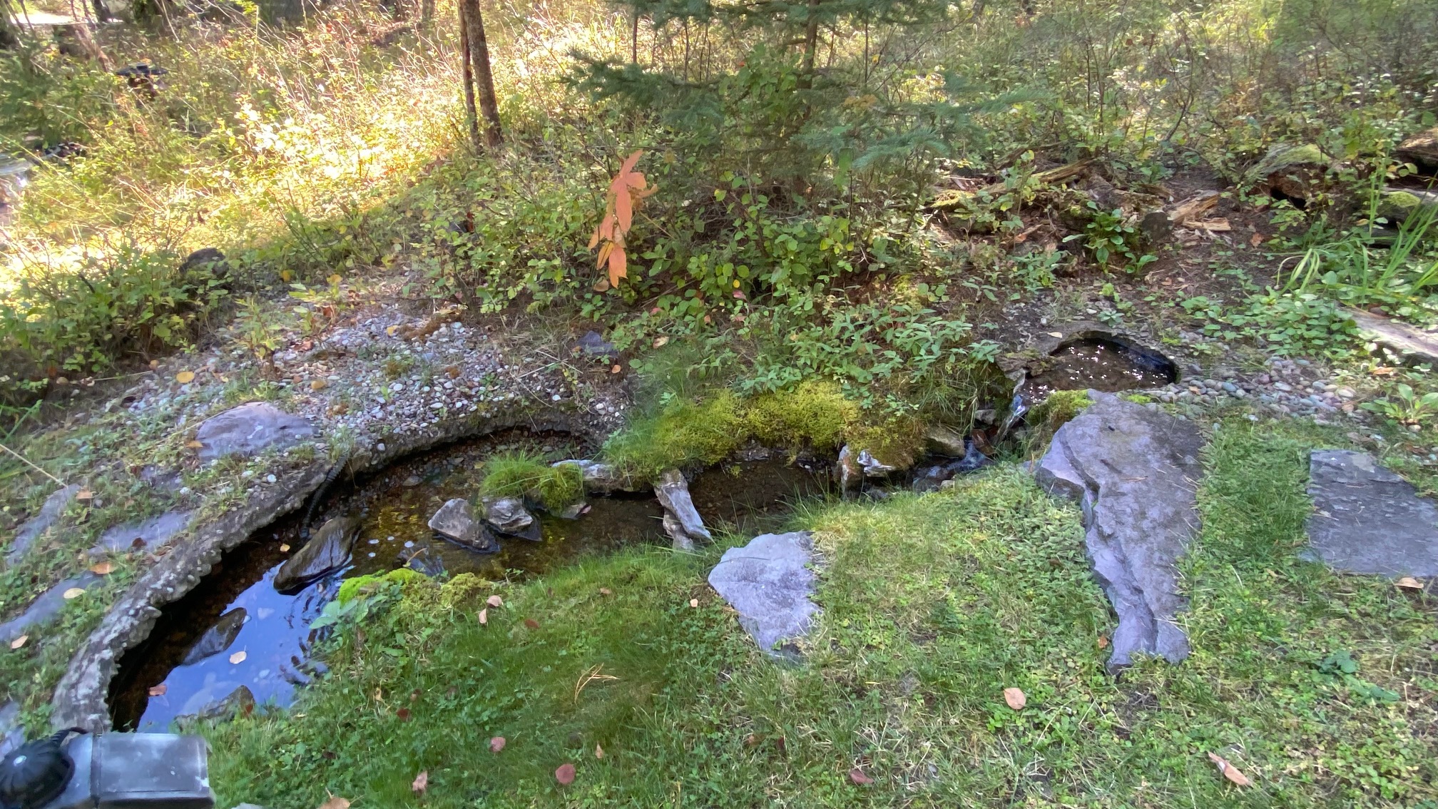 132 Little Mountain Road Property Photo 42