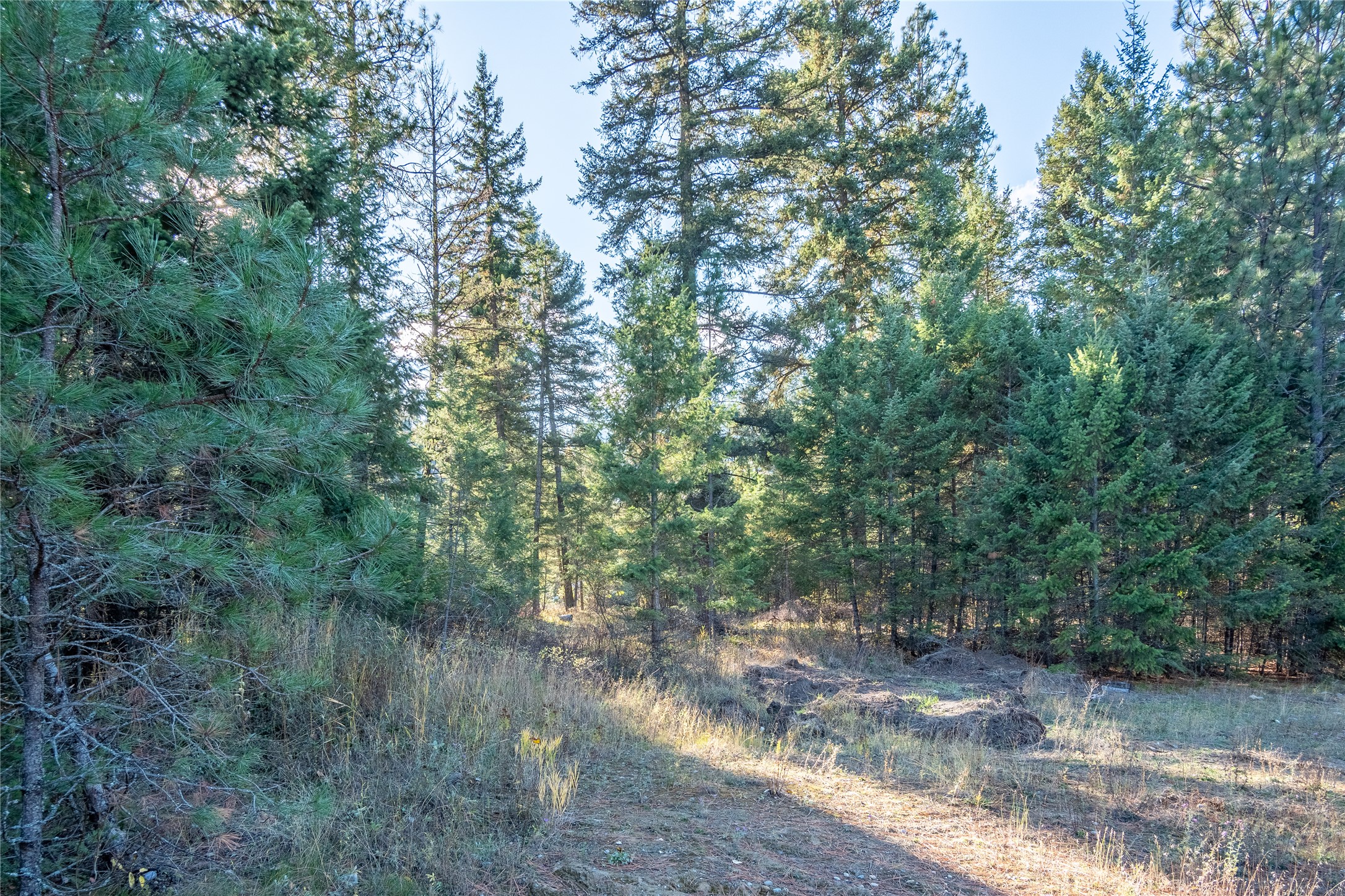 28140 Us Hwy 2 Property Photo 23