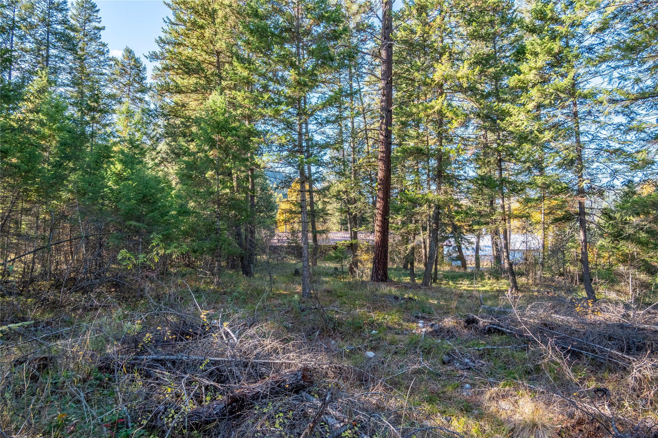 28140 Us Hwy 2 Property Photo 24