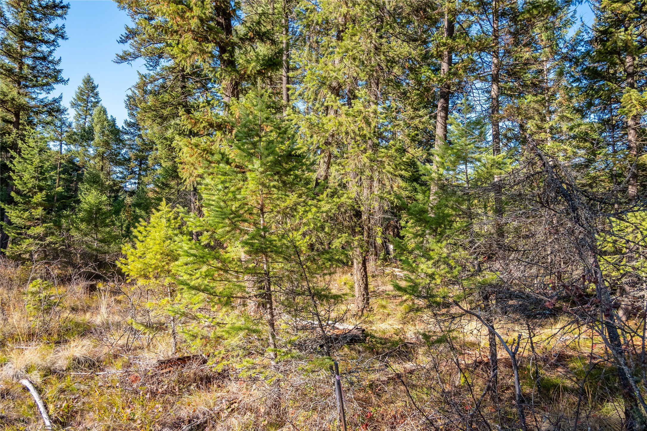 28140 Us Hwy 2 Property Photo 25