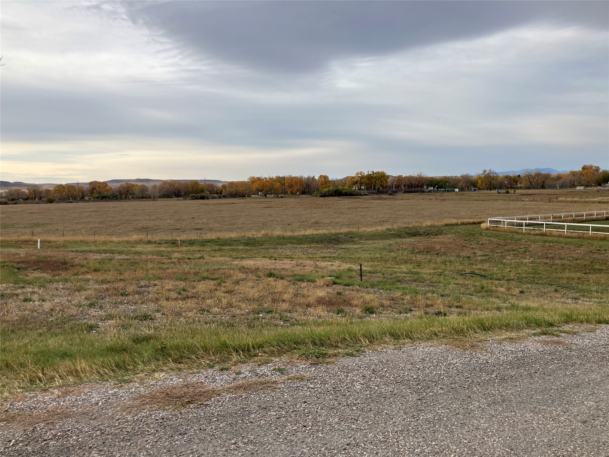 970 E Division Street Property Photo