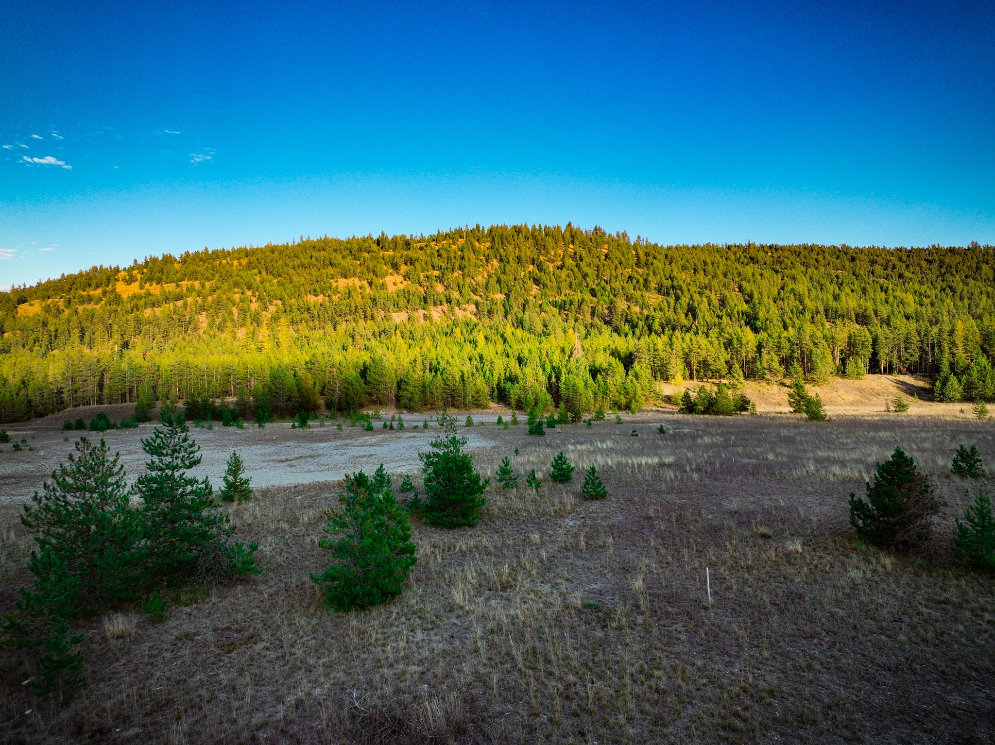 9330 Us Highway 2 W Property Photo 34