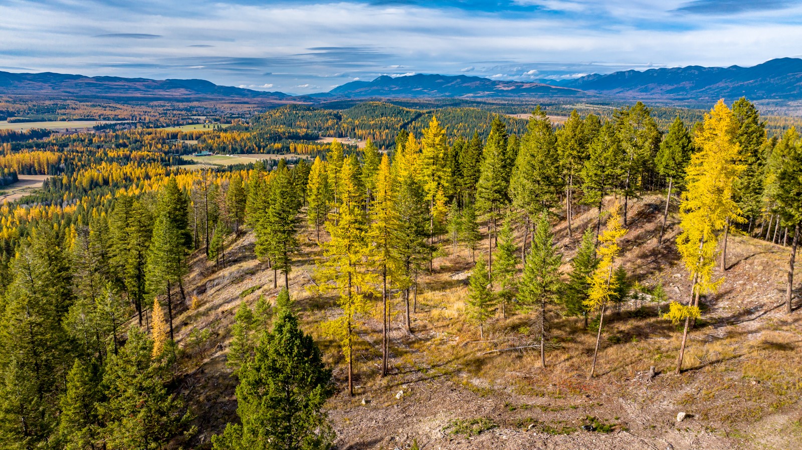 93 Northridge Court Property Photo