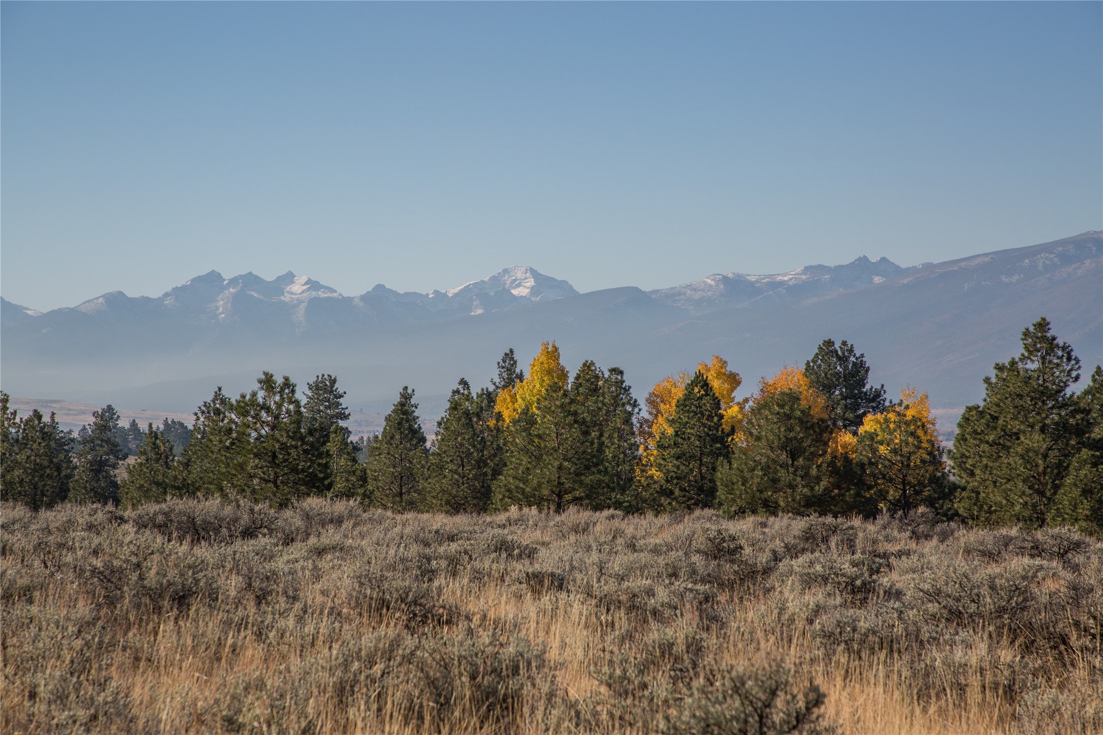 Nhns Lord Byron Trail Property Photo