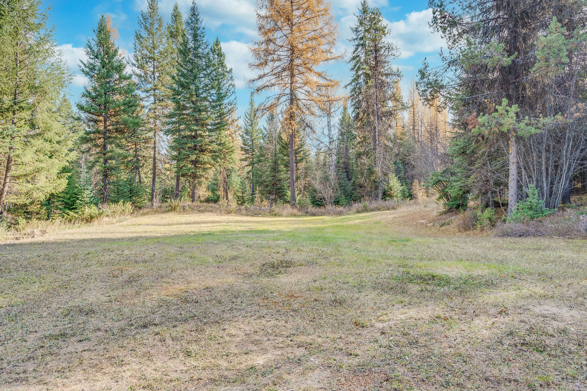 1750 Hill Meadows Road Property Photo 8
