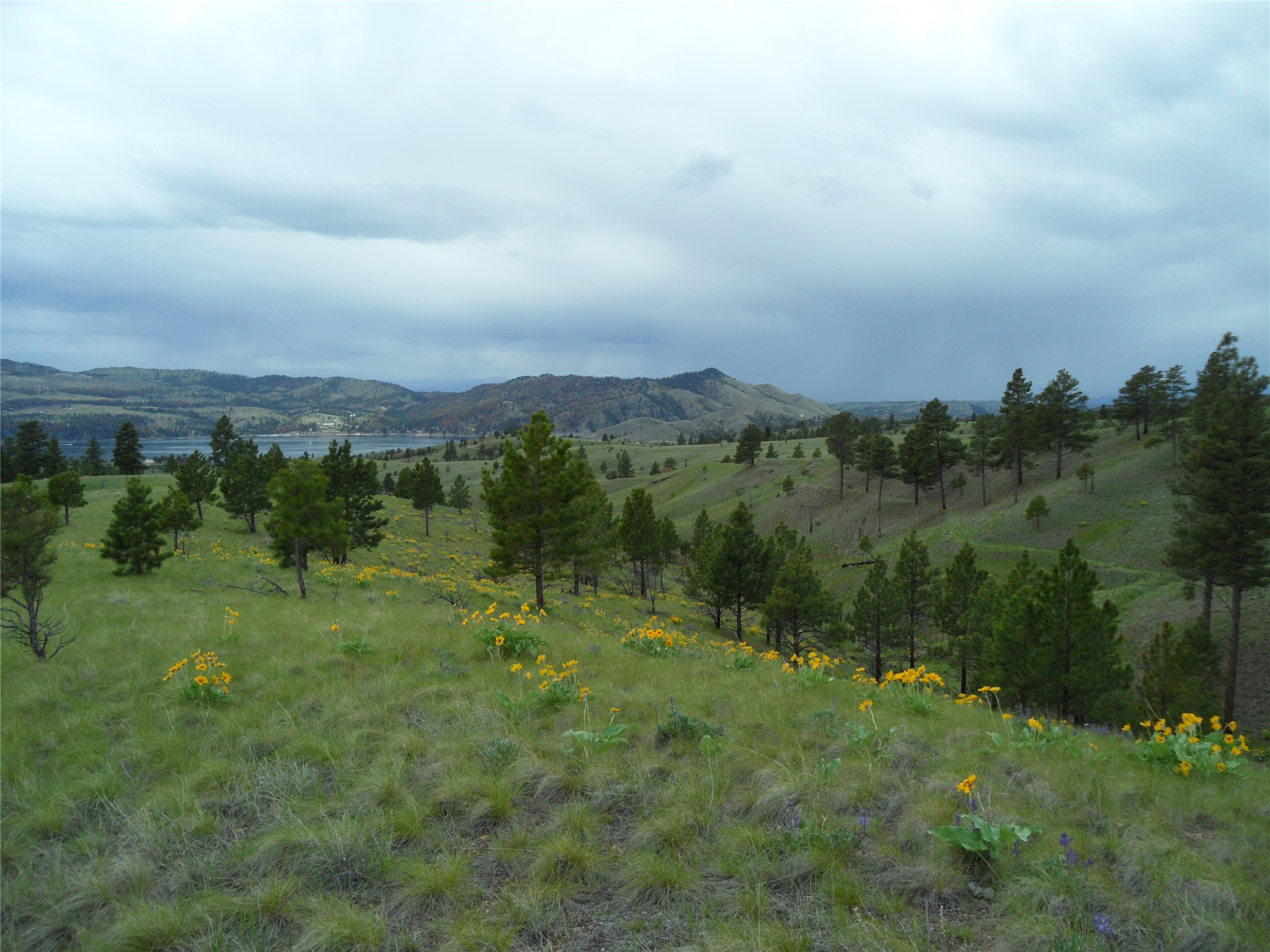 4220 Sunset Ridge Drive Property Photo 72