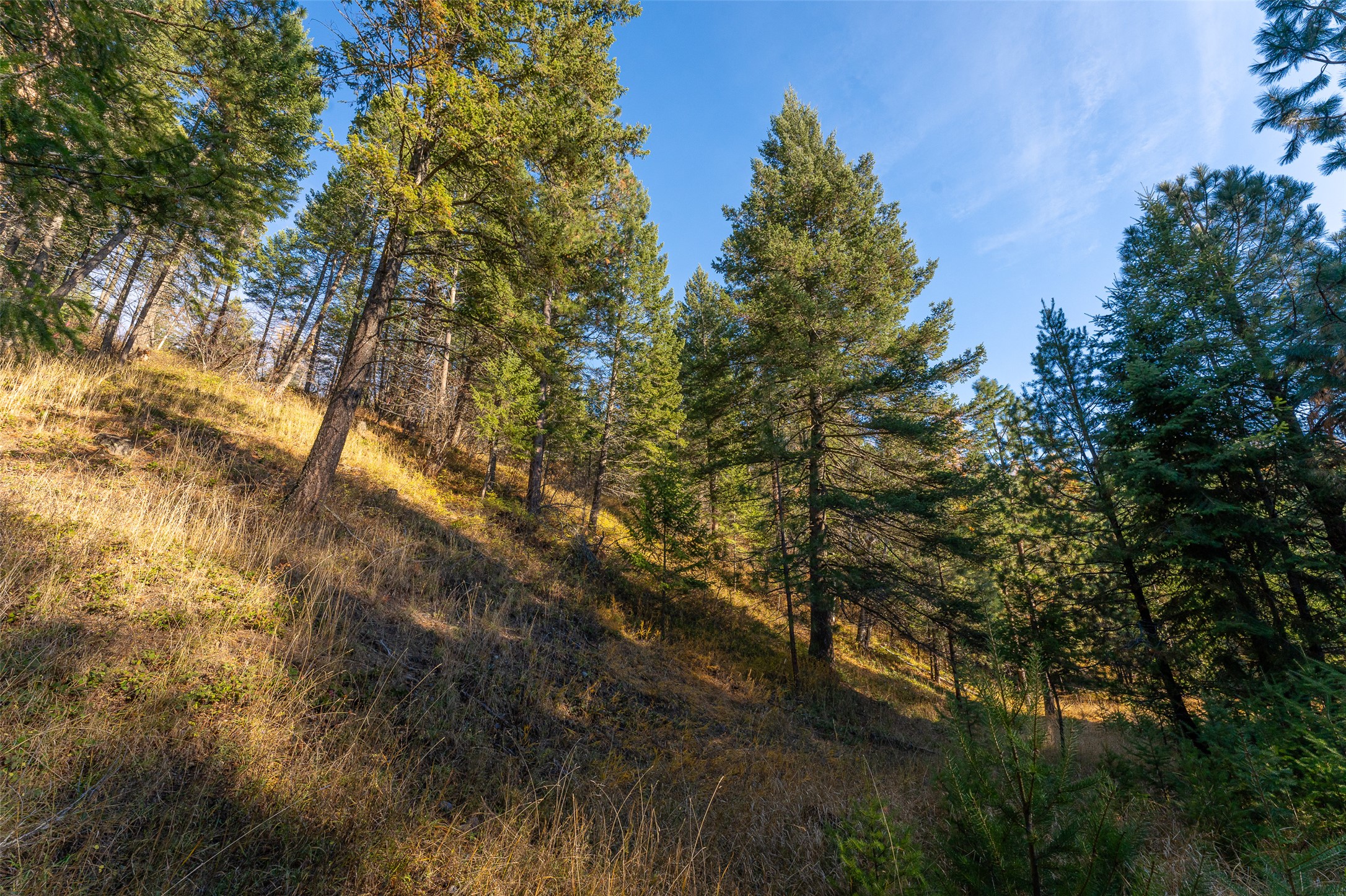 156 Peters Creek Way Property Photo 7