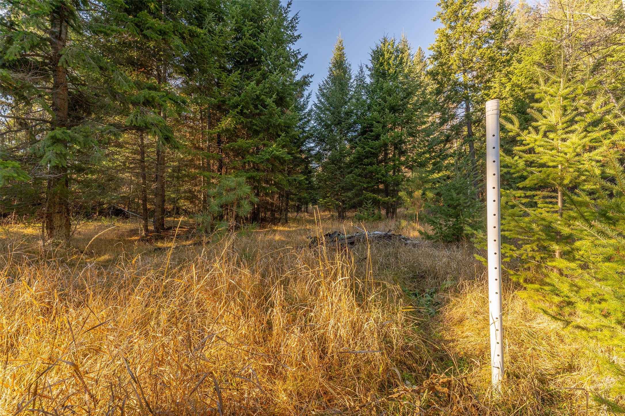 156 Peters Creek Way Property Photo 8