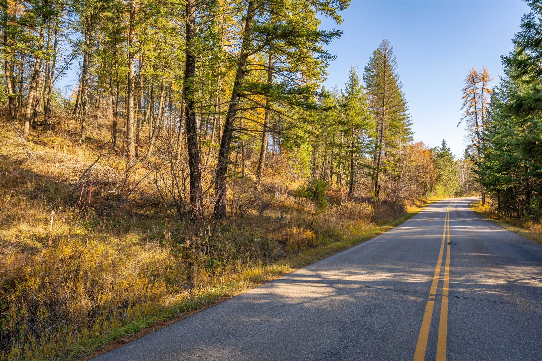 156 Peters Creek Way Property Photo 9