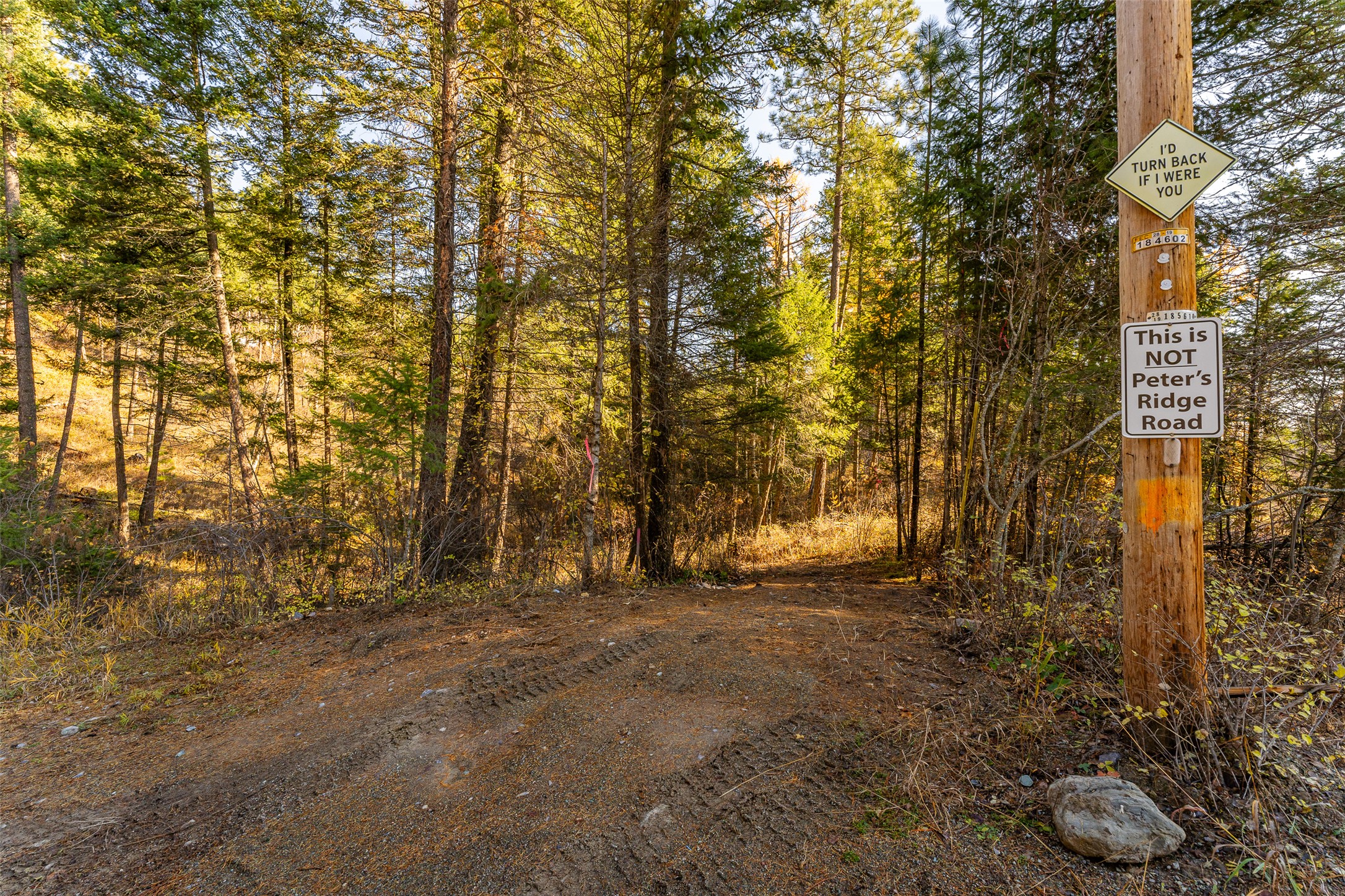 156 Peters Creek Way Property Photo 10