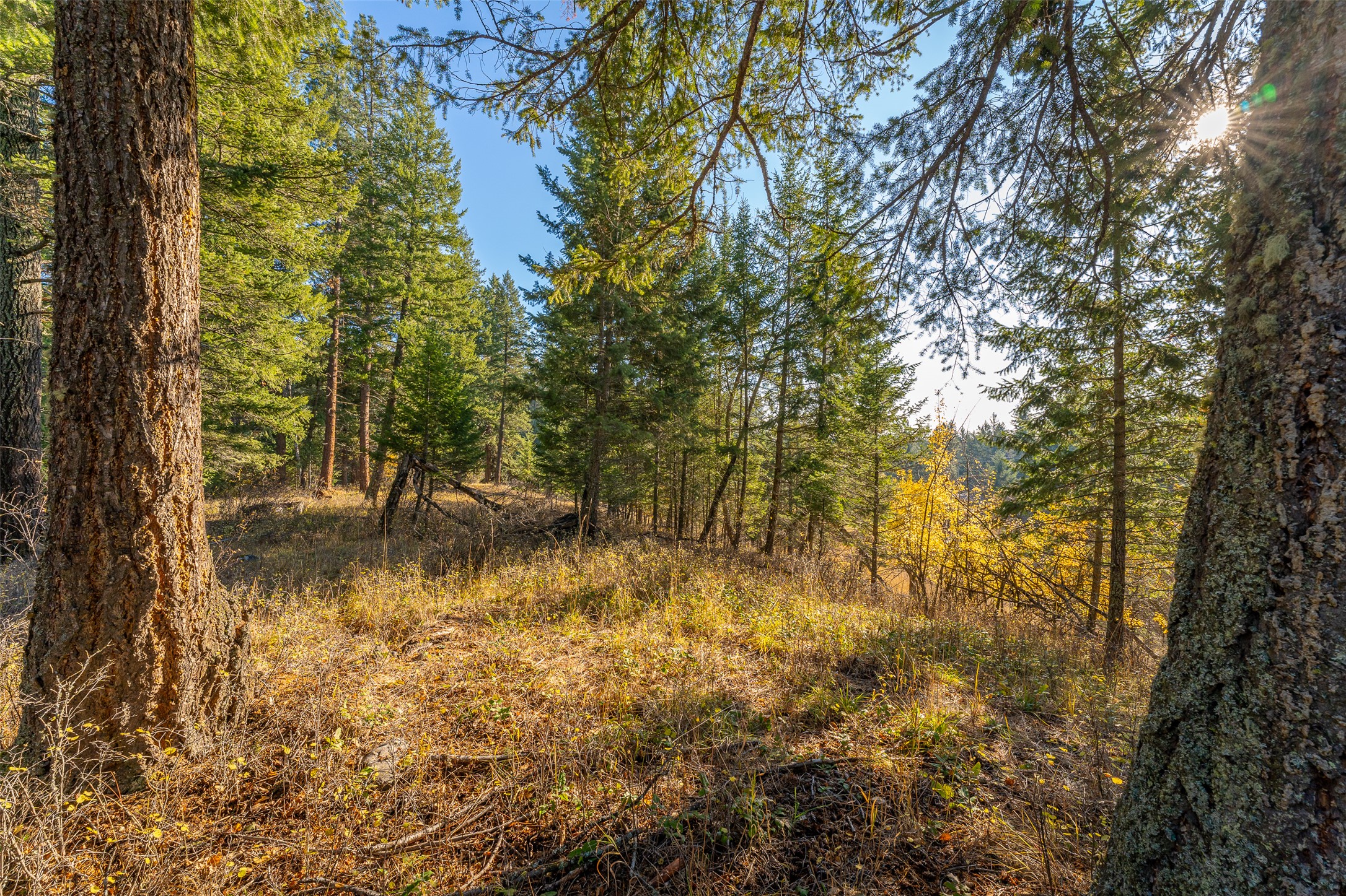 156 Peters Creek Way Property Photo 12