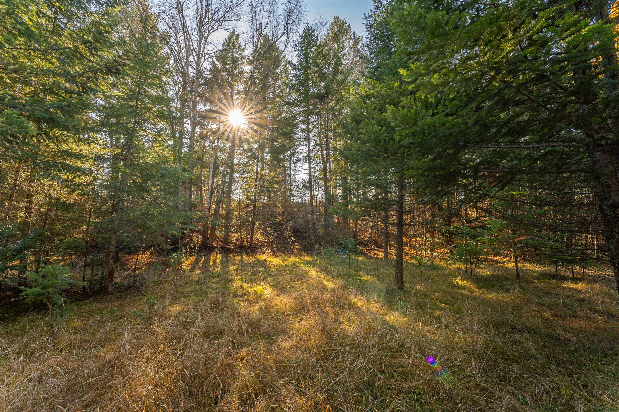 156 Peters Creek Way Property Photo 14