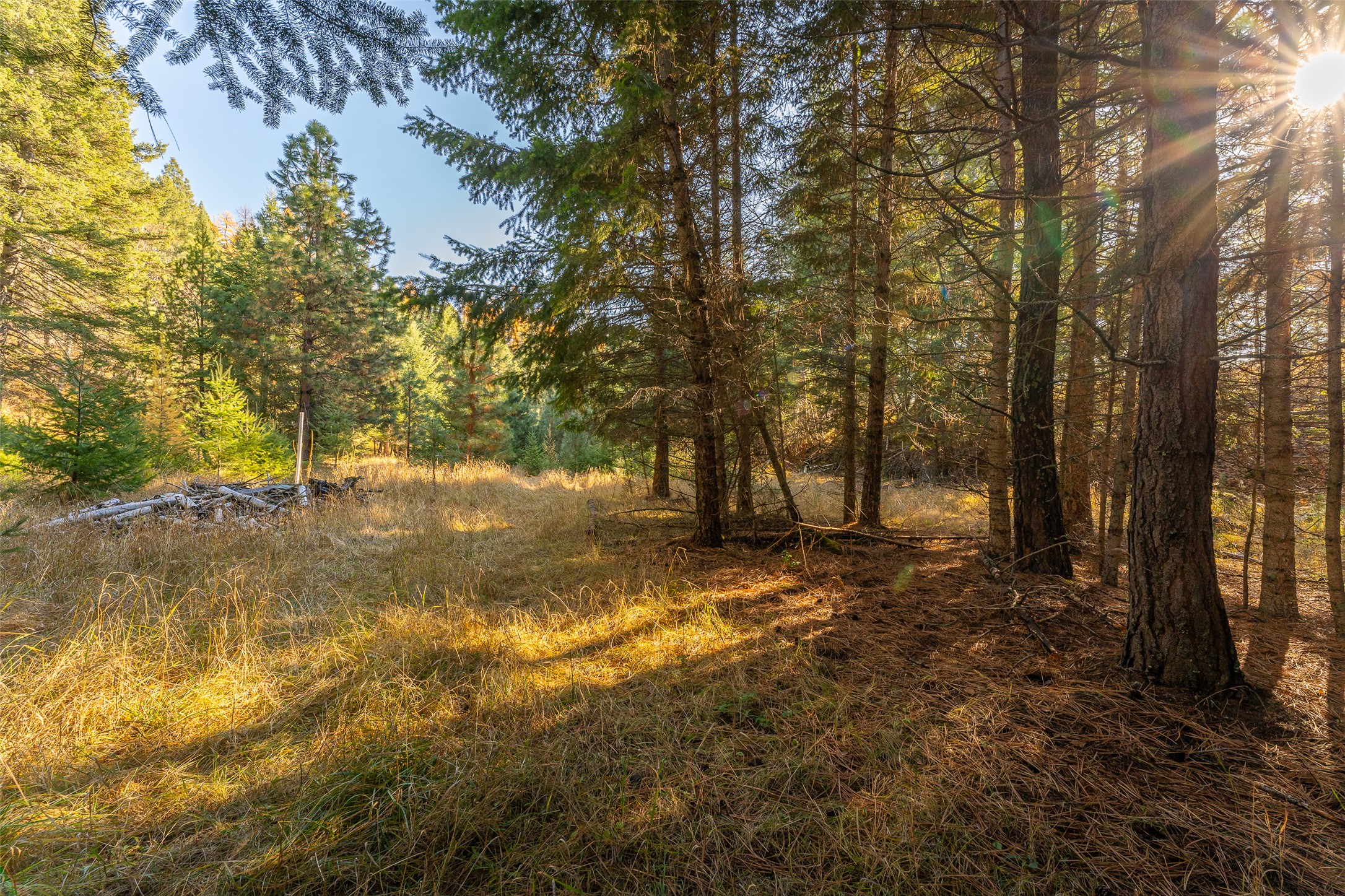 156 Peters Creek Way Property Photo 15