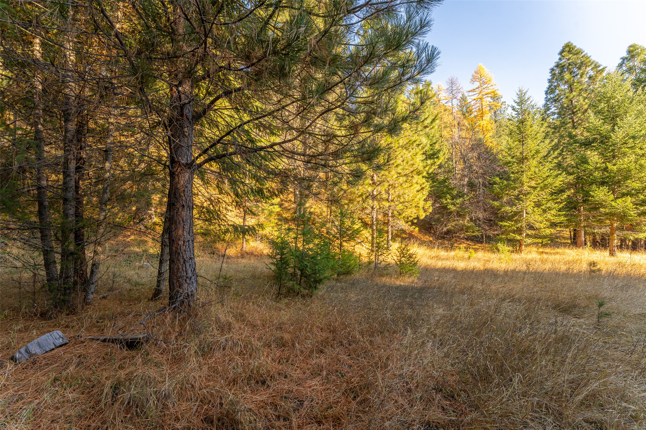 156 Peters Creek Way Property Photo 16