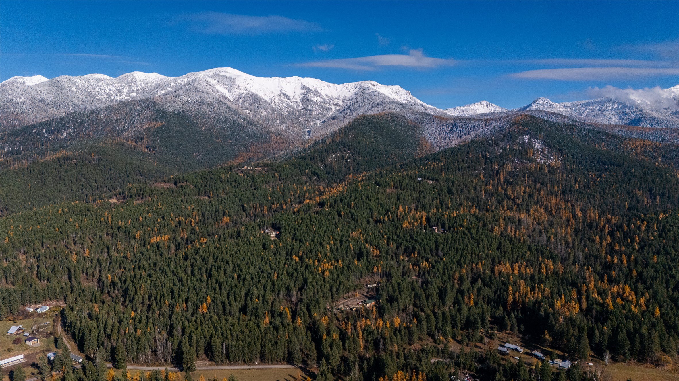 156 Peters Creek Way Property Photo 17