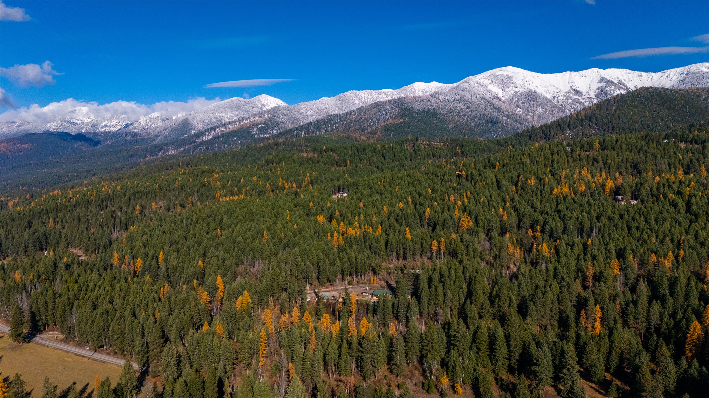 156 Peters Creek Way Property Photo 18