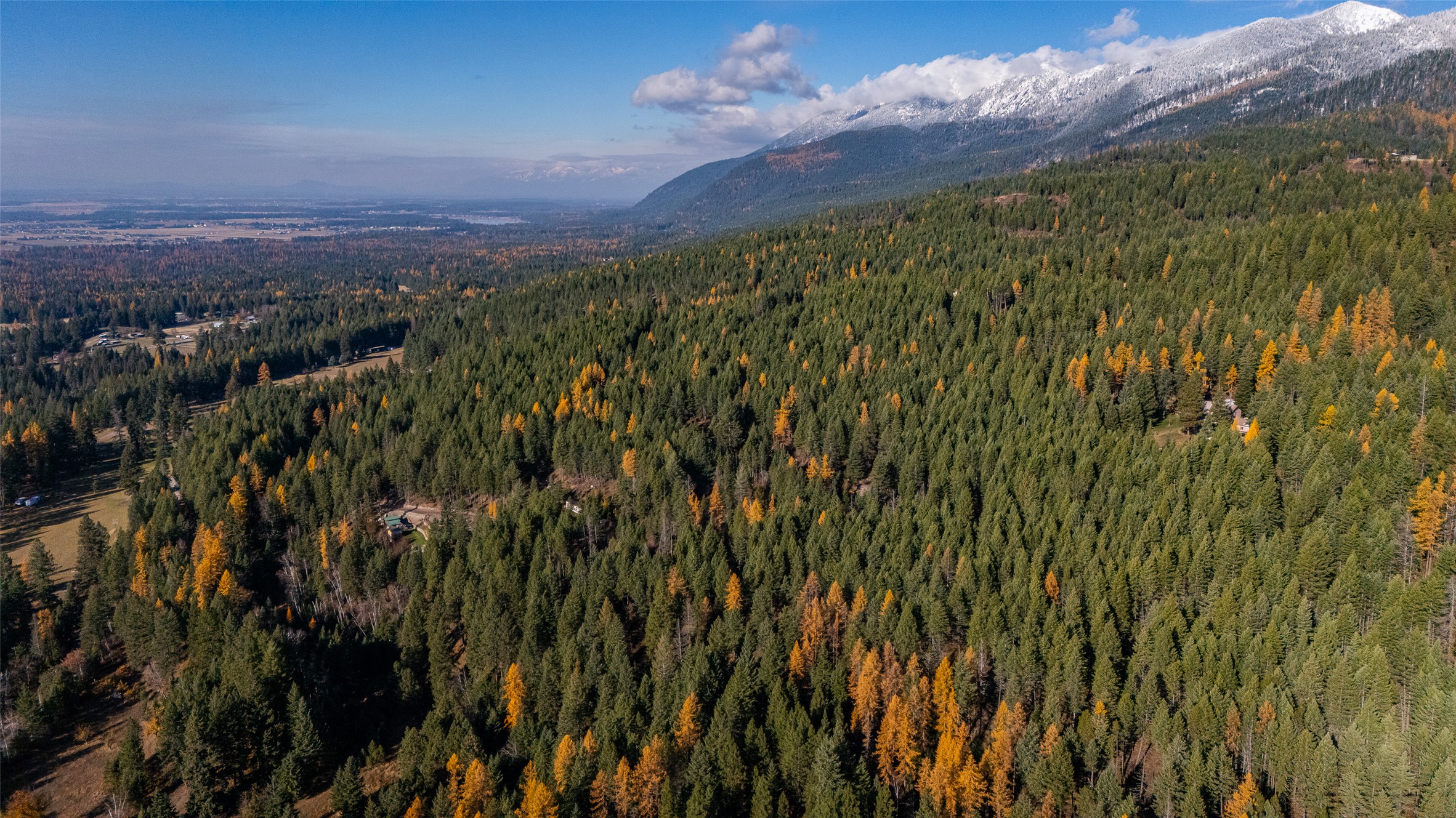 156 Peters Creek Way Property Photo 19