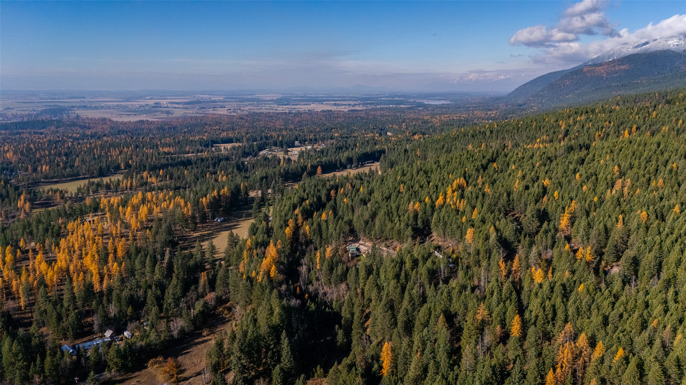 156 Peters Creek Way Property Photo 20