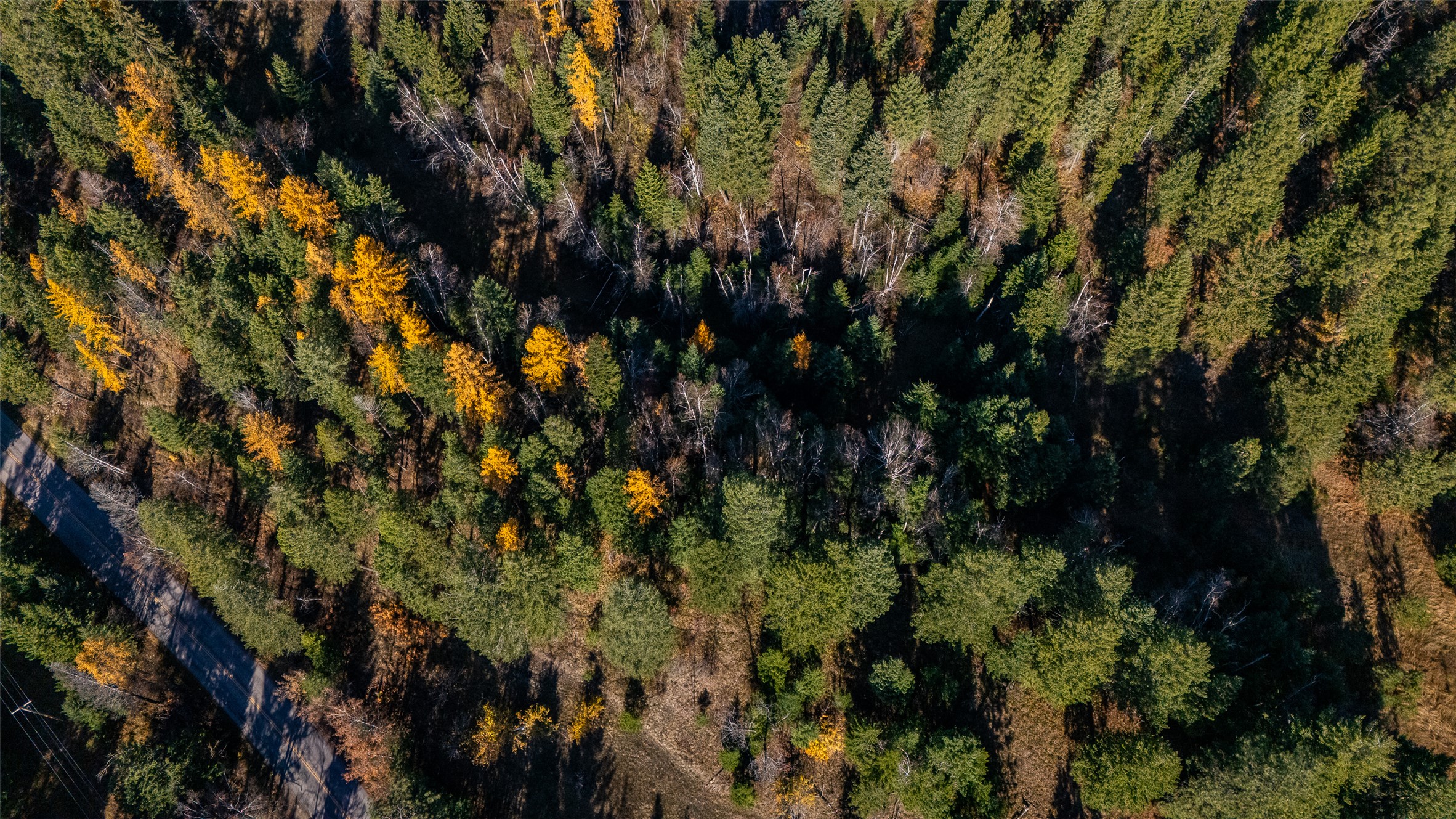 156 Peters Creek Way Property Photo 21