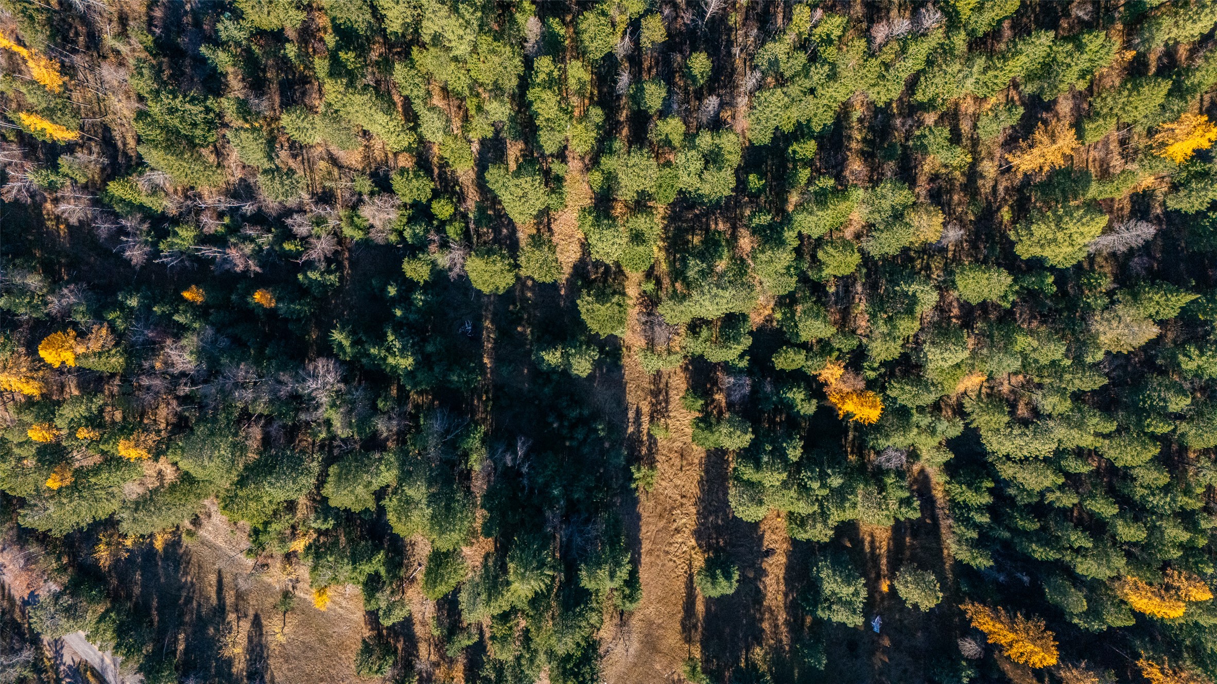 156 Peters Creek Way Property Photo 23