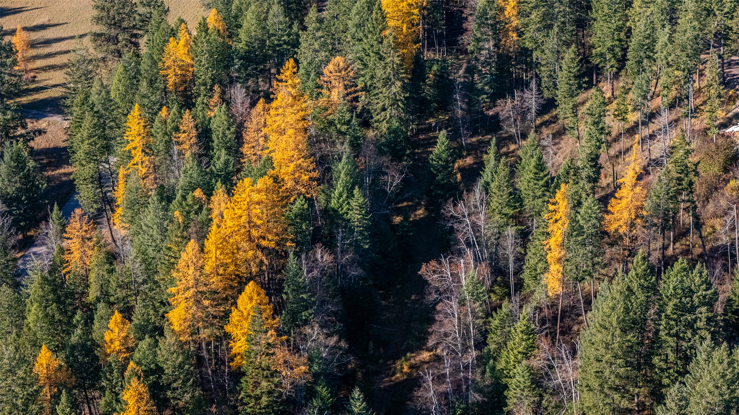 156 Peters Creek Way Property Photo 24