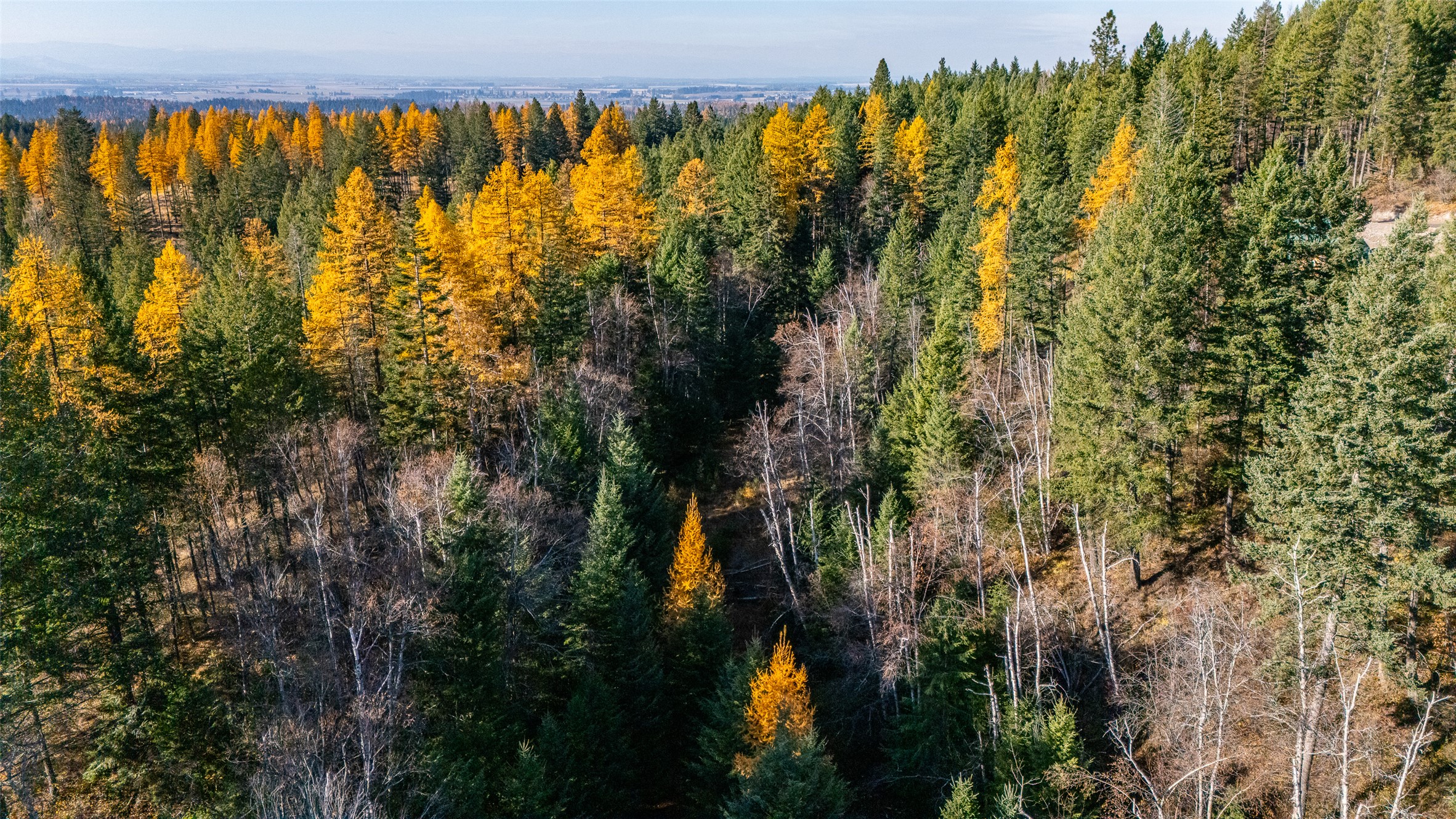 156 Peters Creek Way Property Photo 25