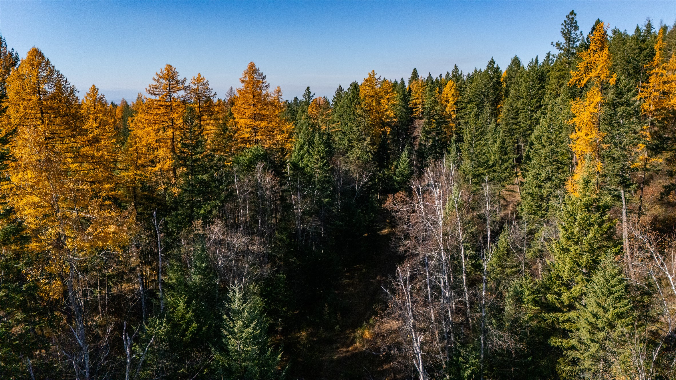 156 Peters Creek Way Property Photo 26