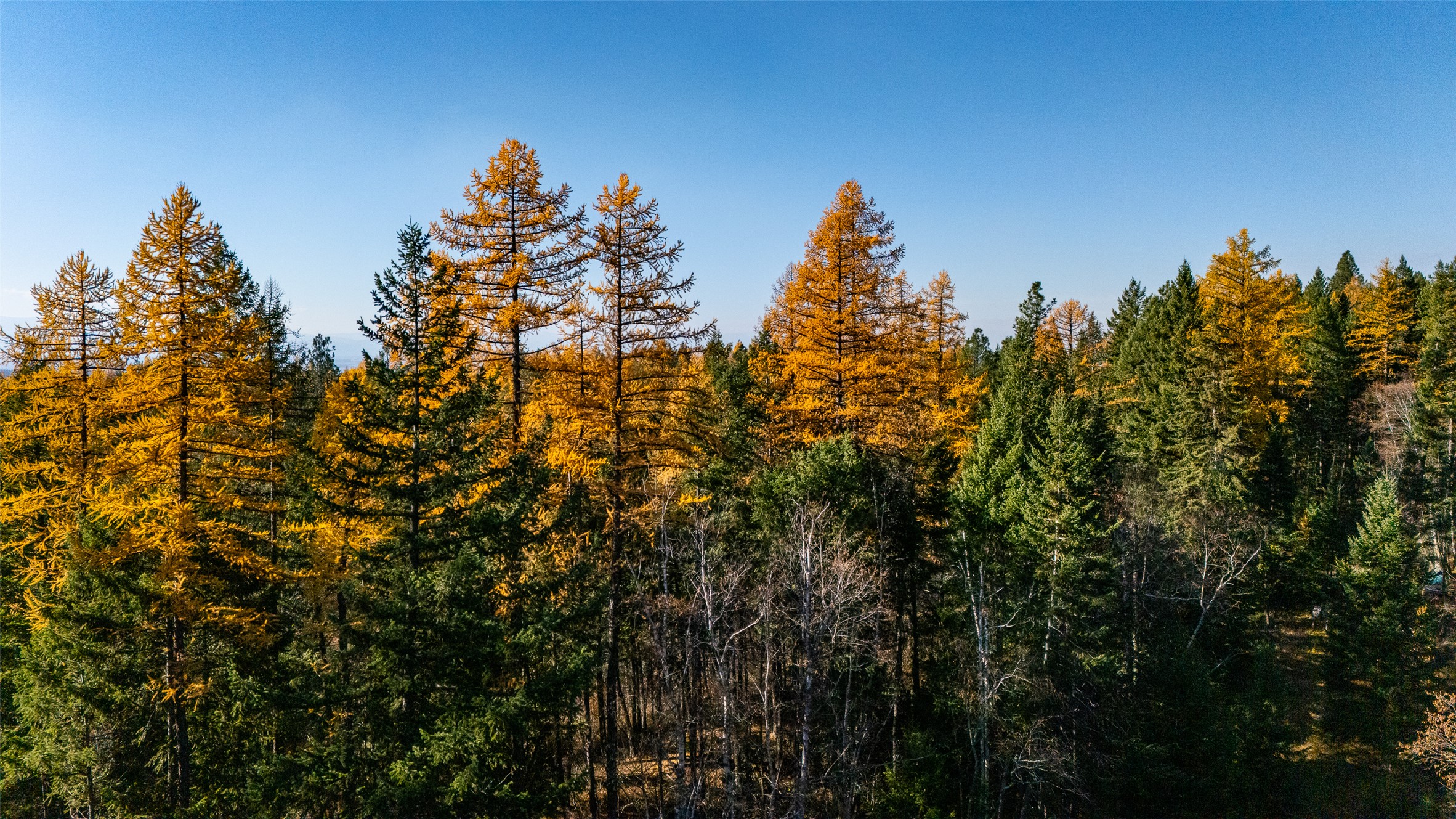 156 Peters Creek Way Property Photo 27