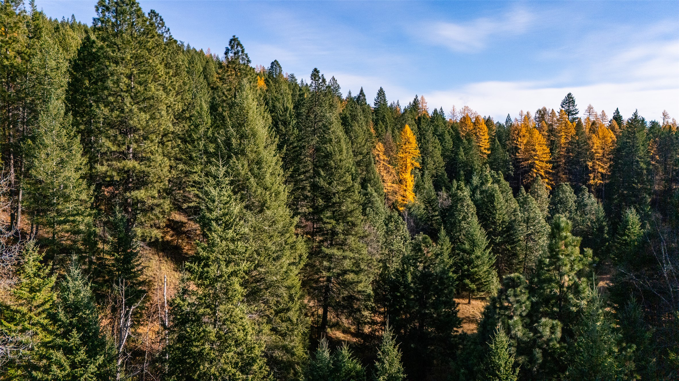 156 Peters Creek Way Property Photo 28