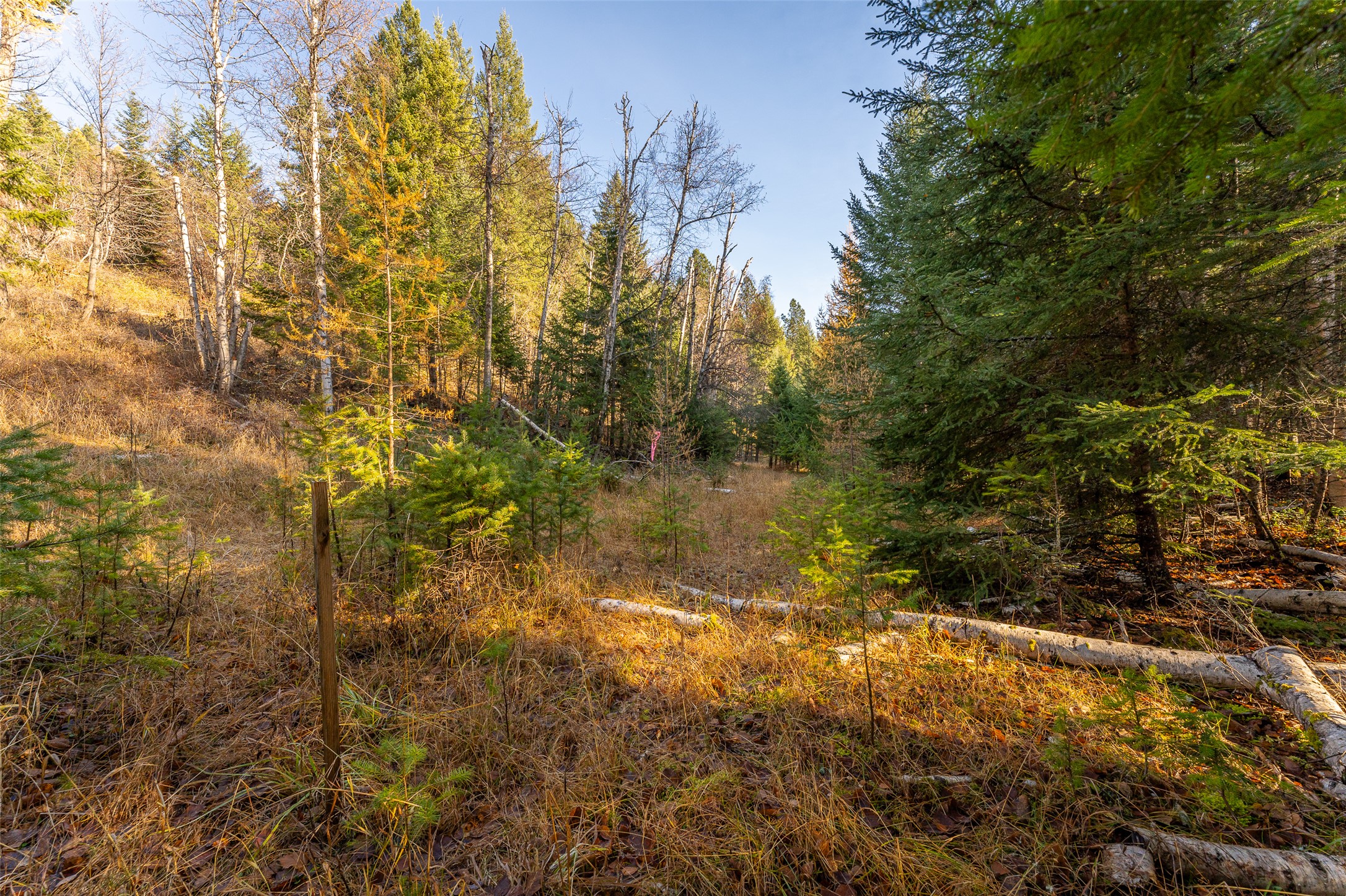 156 Peters Creek Way Property Photo 29