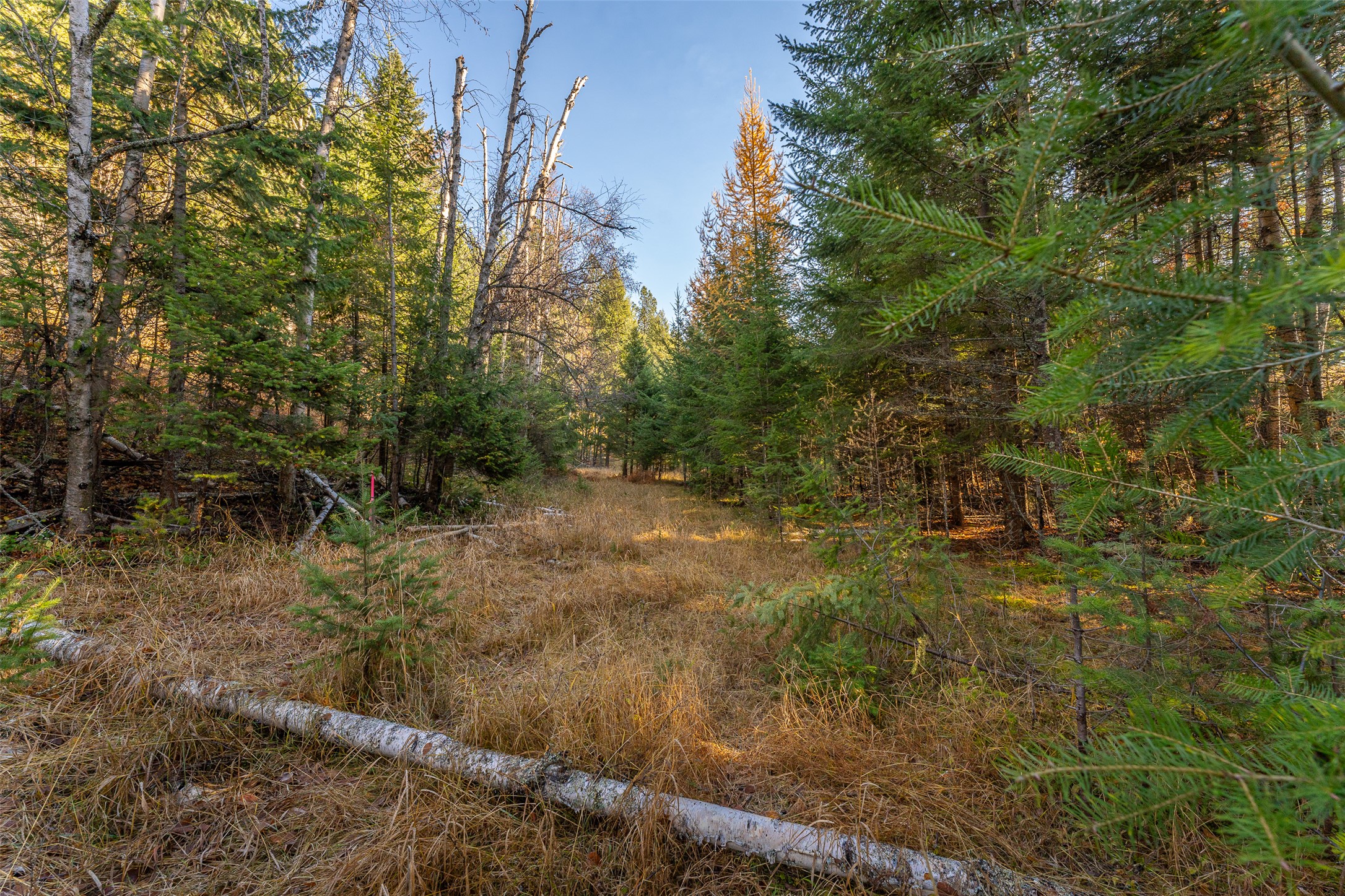 156 Peters Creek Way Property Photo 30