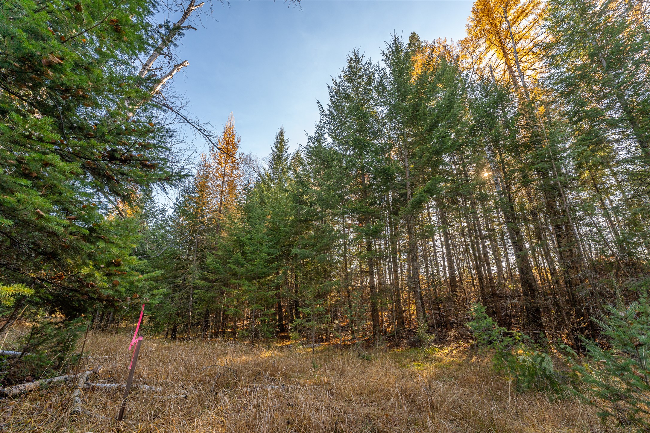 156 Peters Creek Way Property Photo 31