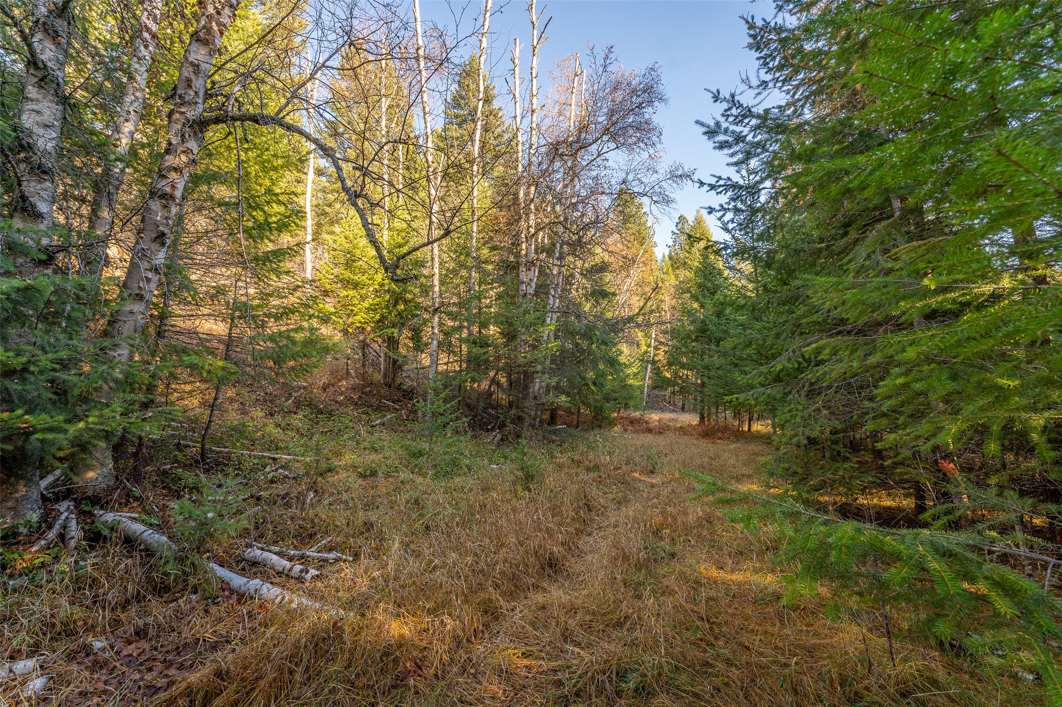 156 Peters Creek Way Property Photo 32