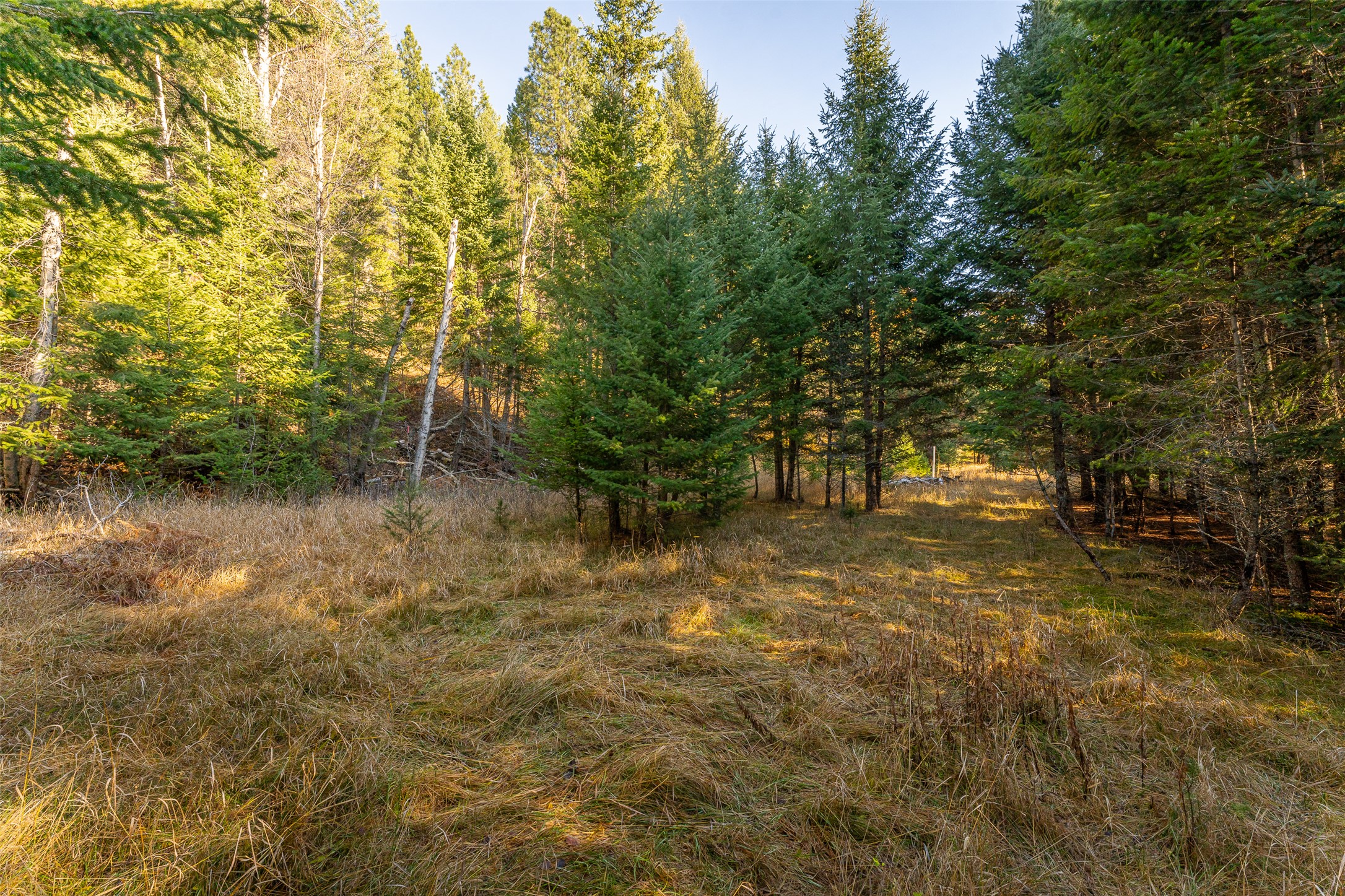 156 Peters Creek Way Property Photo 33