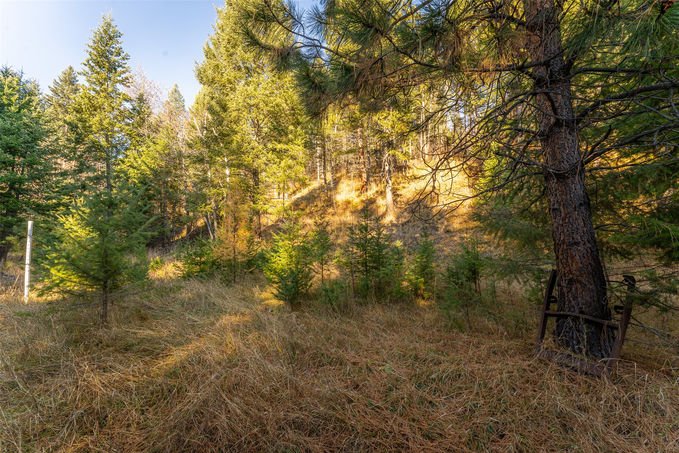 156 Peters Creek Way Property Photo 35