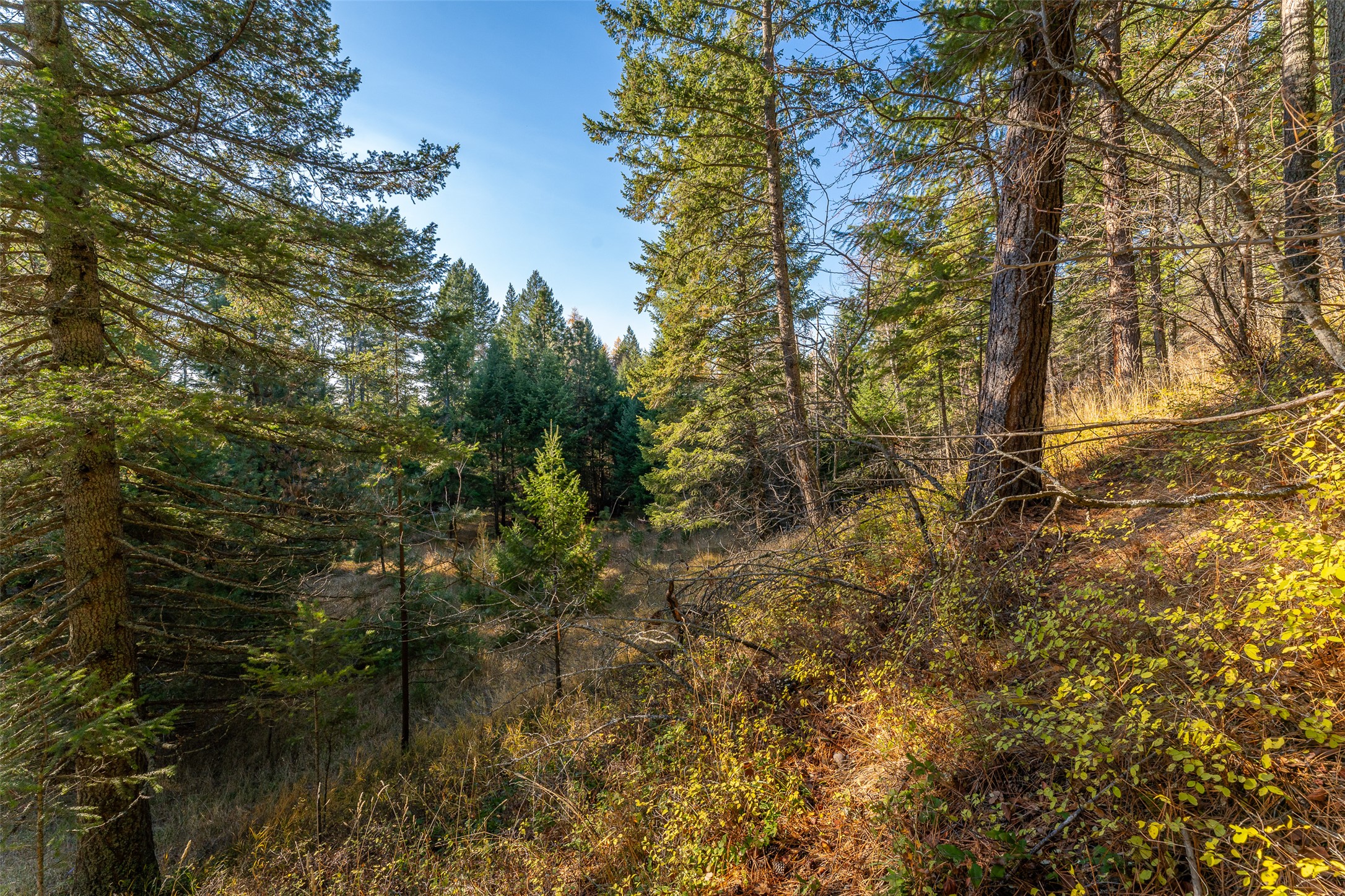 156 Peters Creek Way Property Photo 40