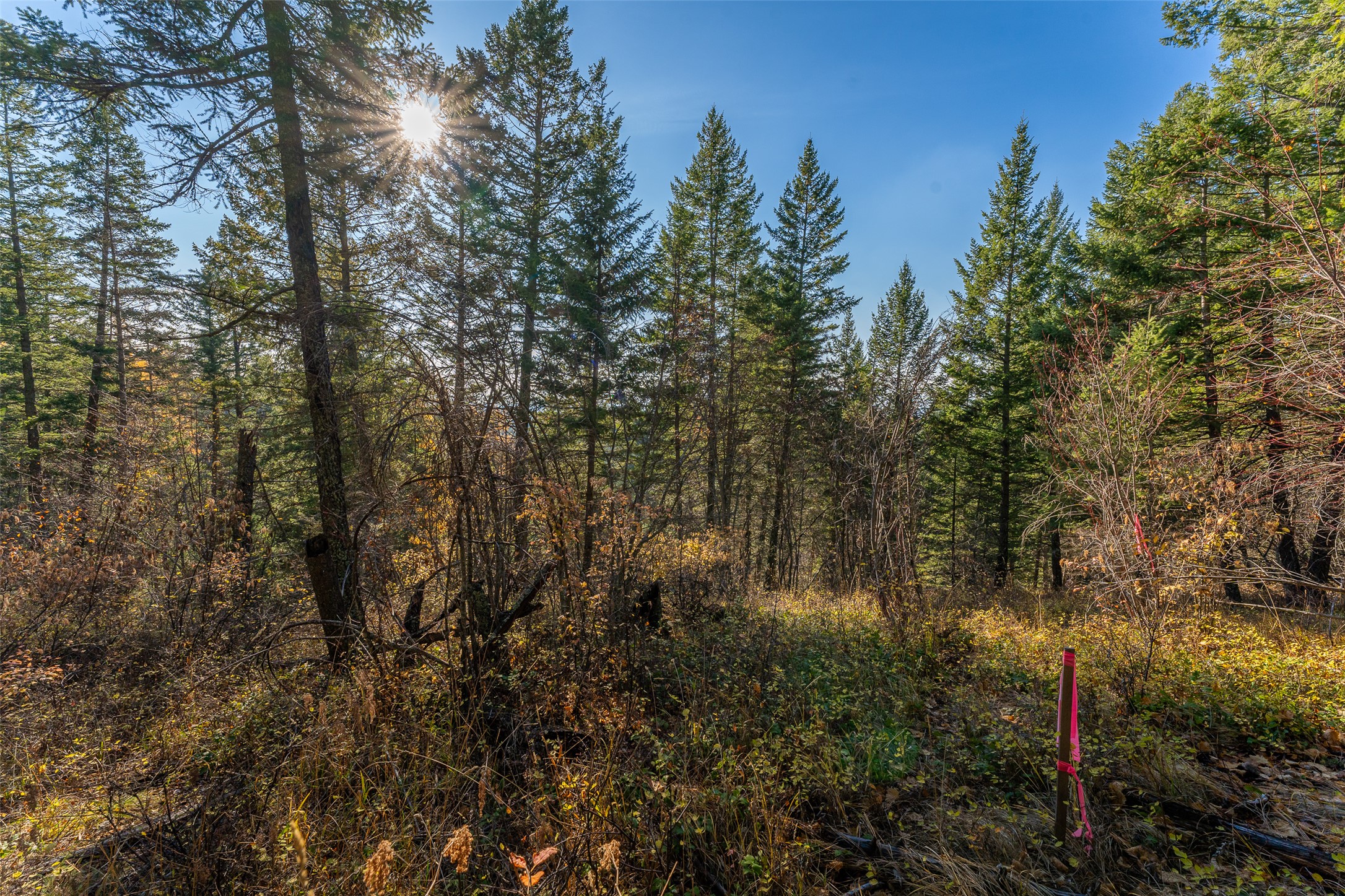 156 Peters Creek Way Property Photo 46