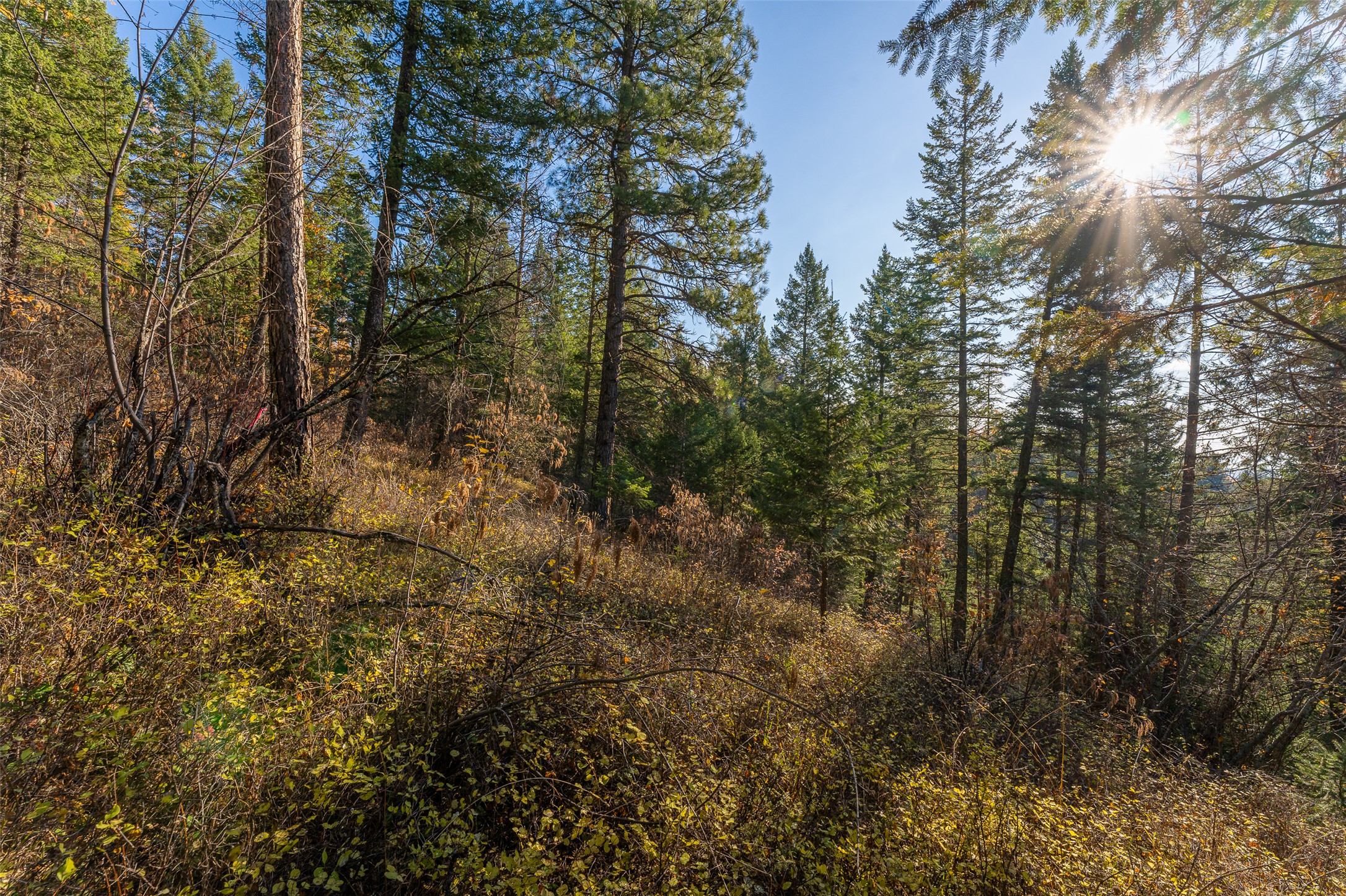 156 Peters Creek Way Property Photo 47