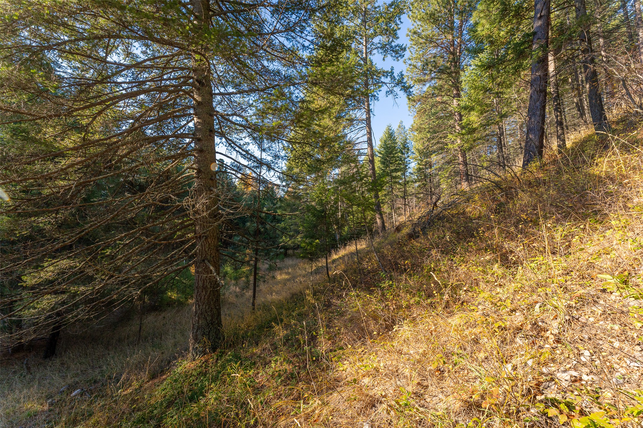 156 Peters Creek Way Property Photo 53