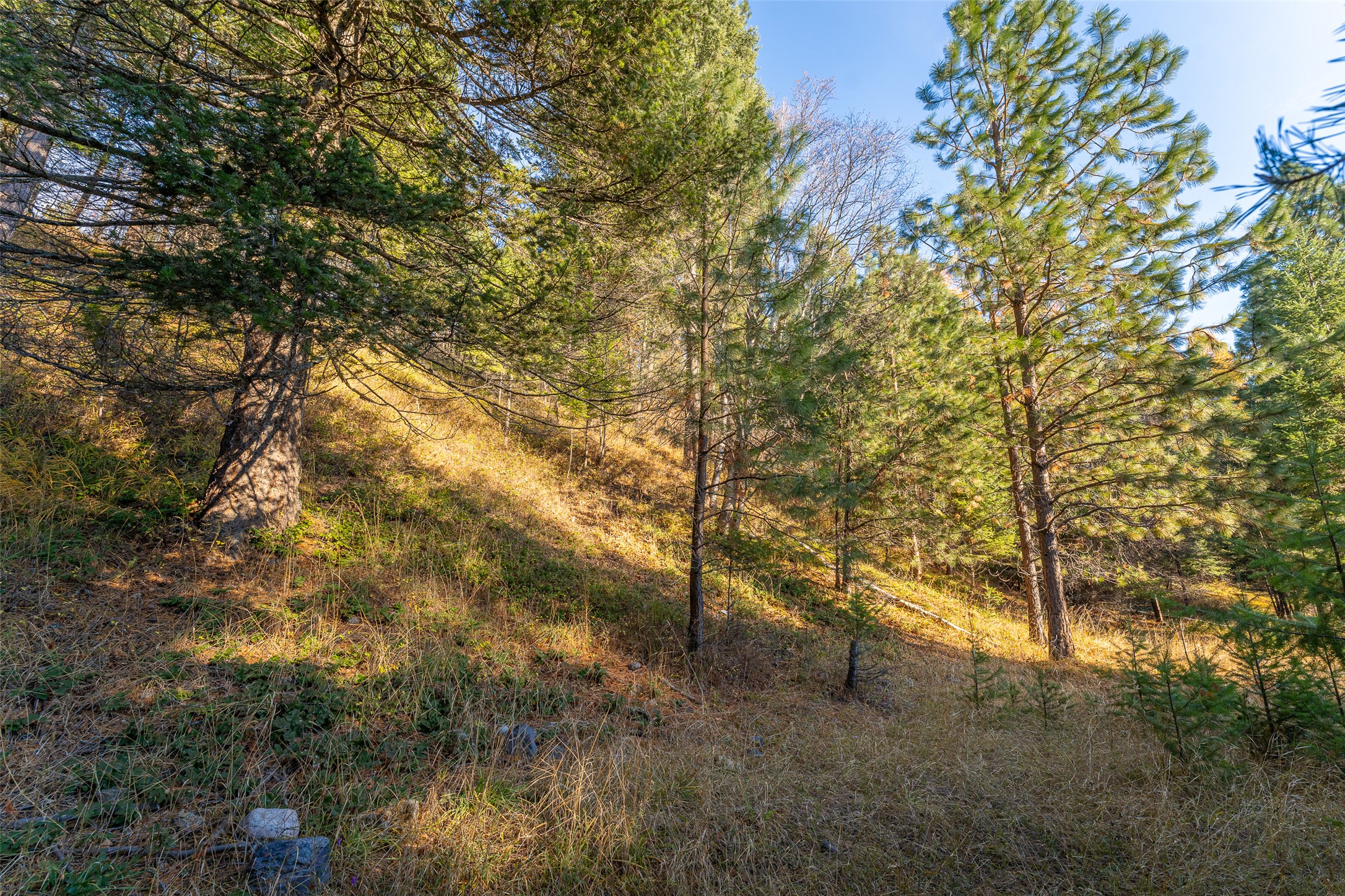 156 Peters Creek Way Property Photo 55