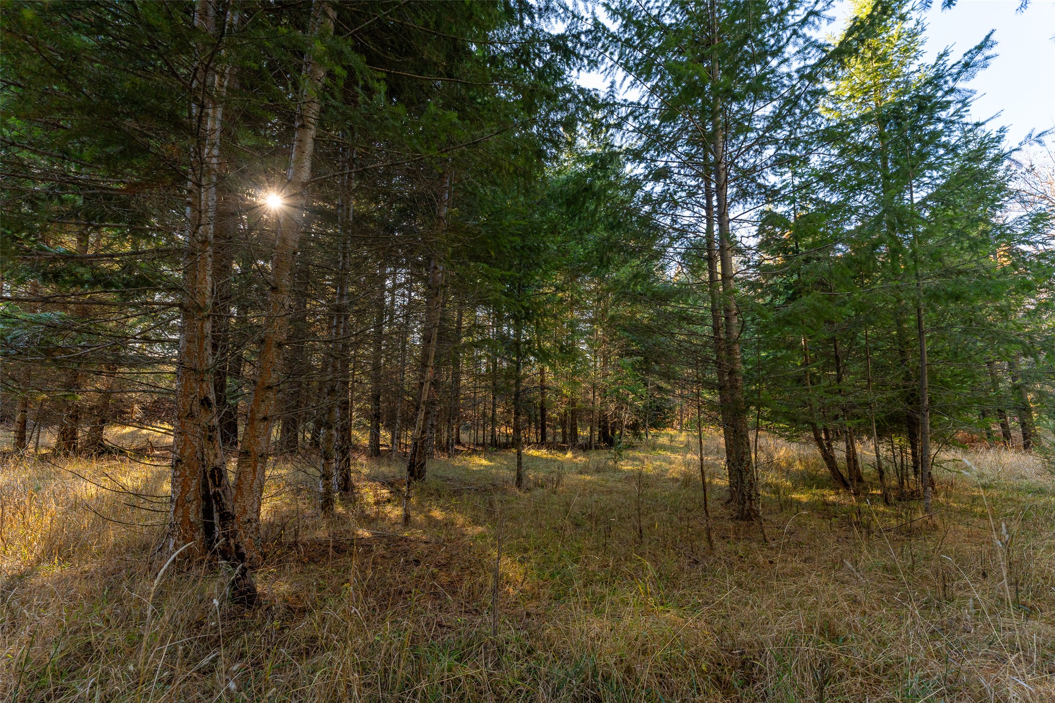 156 Peters Creek Way Property Photo 58