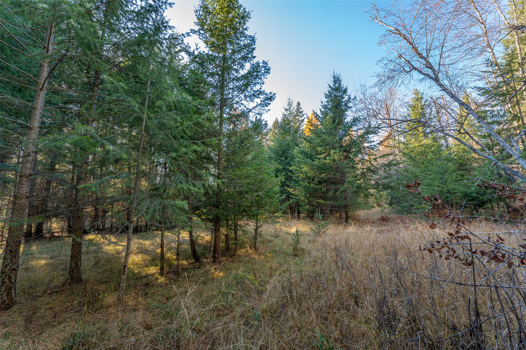 156 Peters Creek Way Property Photo 59