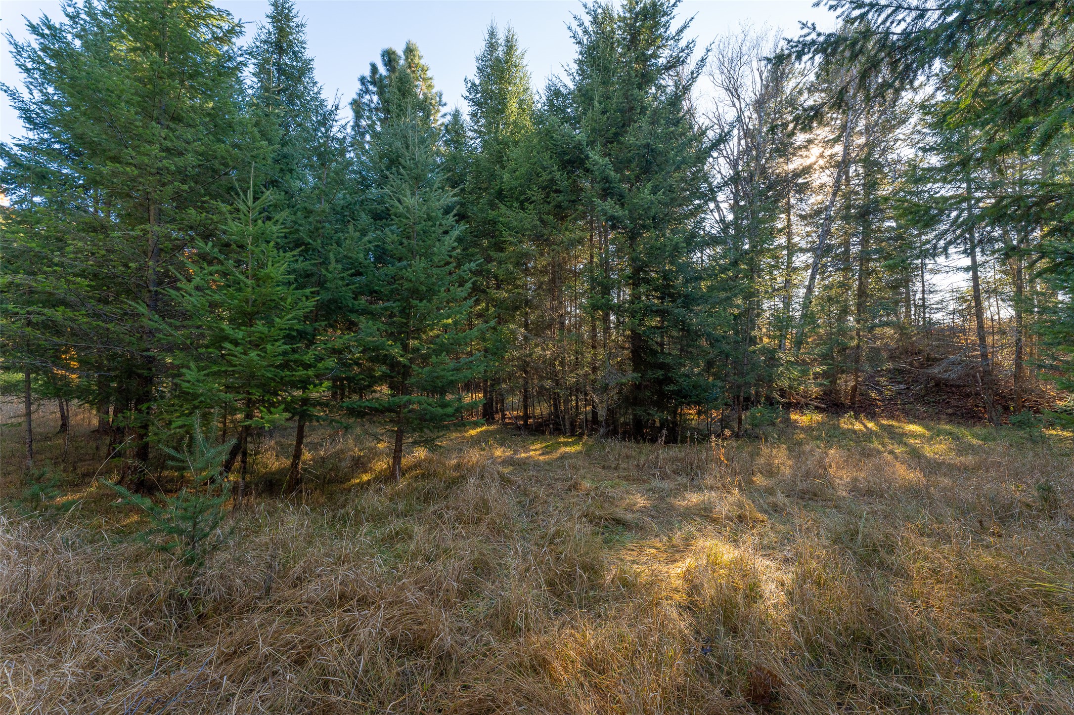 156 Peters Creek Way Property Photo 60