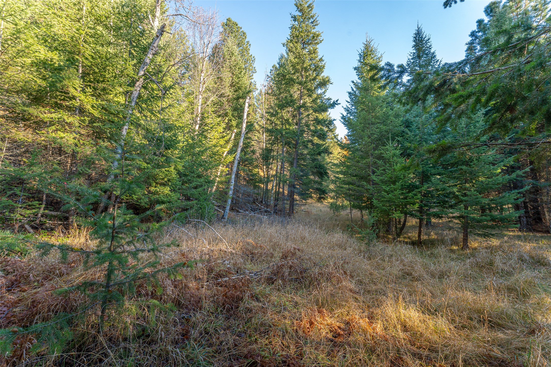 156 Peters Creek Way Property Photo 61