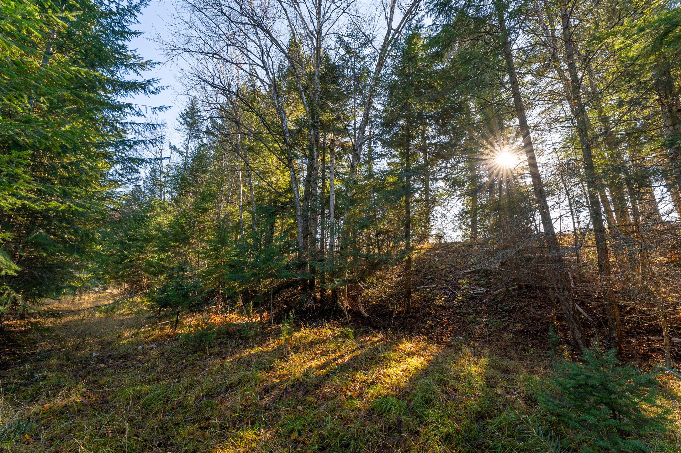 156 Peters Creek Way Property Photo 62