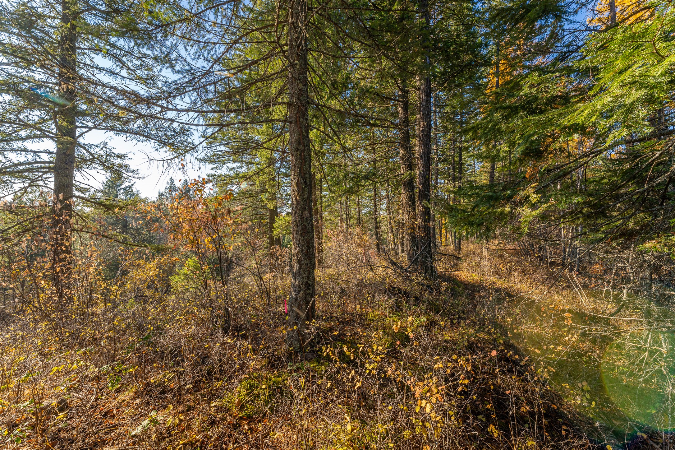 156 Peters Creek Way Property Photo 64