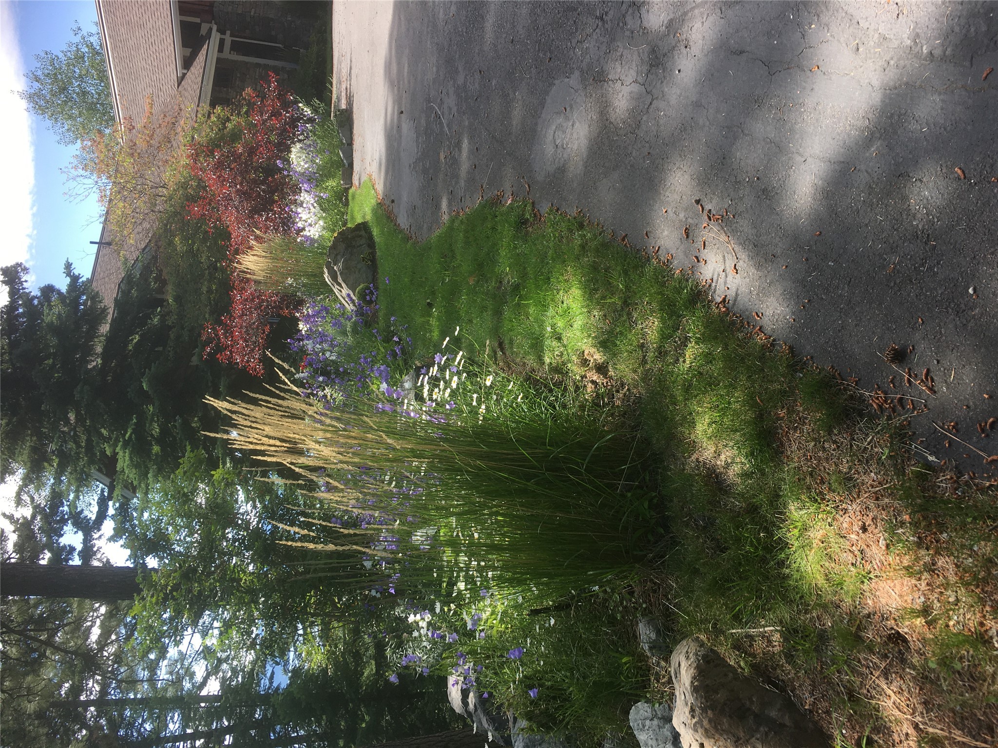 32054 Birch Tree Drive Property Photo 9