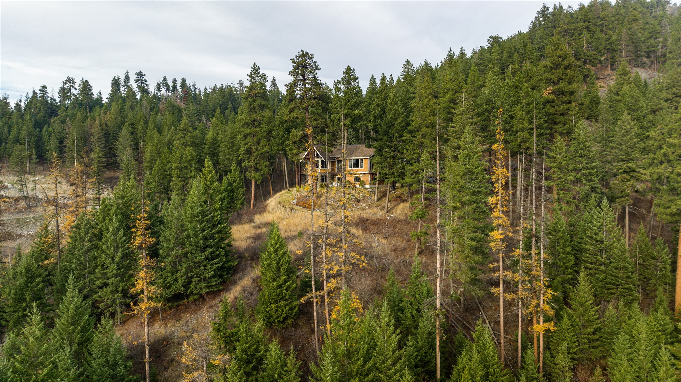 32054 Birch Tree Drive Property Photo 64